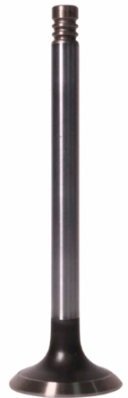 70910019 - Válvula Escape