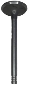 70910098 - Válvula Admissão