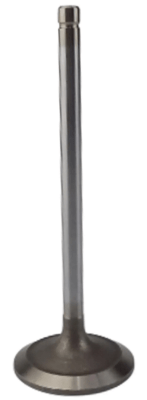 R98062 - VALVULA ADMISSAO CABECOTE