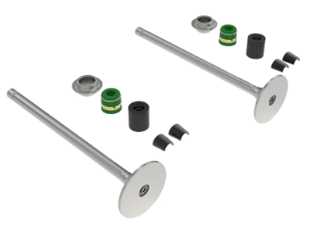RE557890 - Kit de Válvula de Admissão