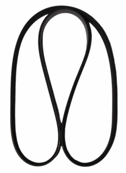 ACW3156760 - Correia