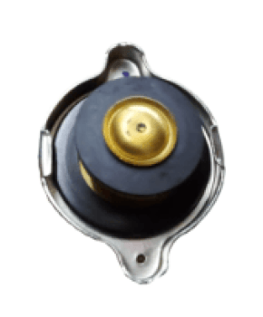 989434 - TAMPÃO VALVULA