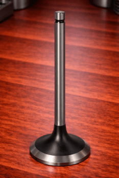 R98062 - VALVULA ADMISSAO CABECOTE