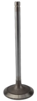 R98062 - VALVULA ADMISSAO CABECOTE