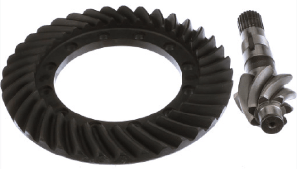 82011810 - CJ. CORA E PINHÃO